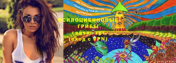 прущие крисы Михайлов