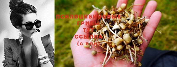 бутират Михайловка