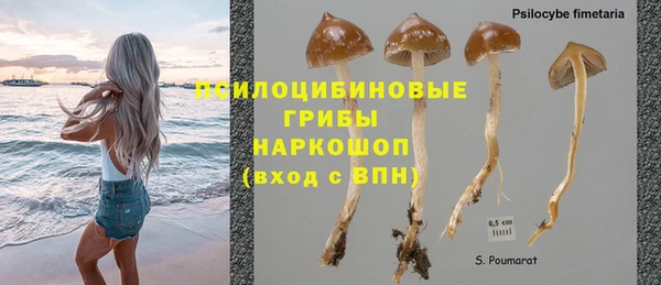 прущие крисы Михайлов